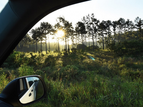 location de voiture Saint Laurent du Maroni : Lever de soleil à l'entrée de Sinnamary